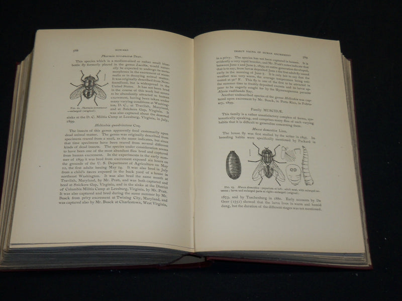 1900-1902 WASHINGTON ACADEMY OF SCIENCES PROCEEDINGS VOLUME LOT OF 3 - R 8D