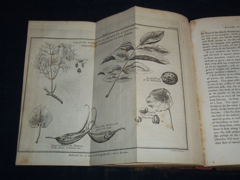 1797 STUDIES OF NATURE - BERNARDIN - HENRY HUNTER - VOLUME LOT OF 3 - KD 4671H