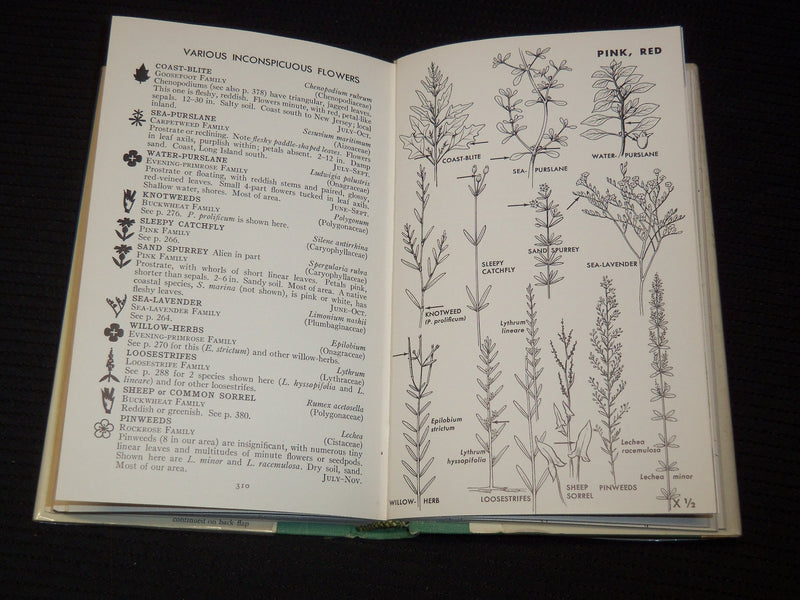1968-1988 ASSORTED FIELD GUIDES LOT OF 6 - AUDUBON - TREES - WILDFLOWERS- R 701M