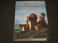 1985 The Encyclopedia of Mammals edited by Dr. David Macdonald Hardcover - I 427