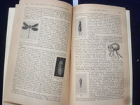 1939 4-H CLUB INSECT MANUAL - SOFTCOVER - OFFICE OF ERNEST MCFARLAND - J 9647
