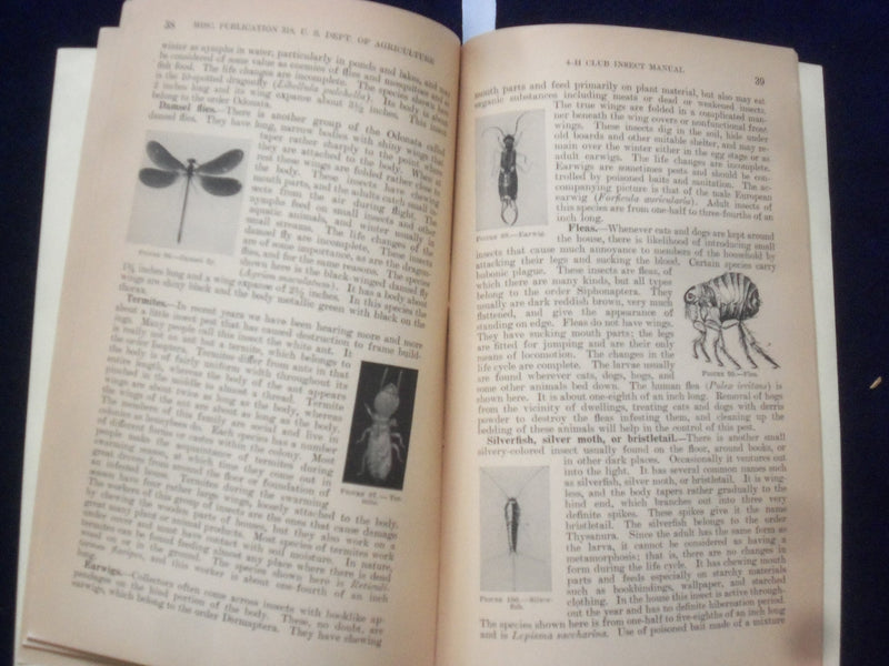 1939 4-H CLUB INSECT MANUAL - SOFTCOVER - OFFICE OF ERNEST MCFARLAND - J 9647