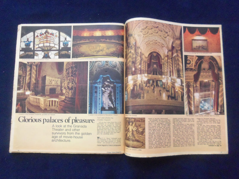 1976 OCTOBER 10 CHICAGO TRIBUNE MAGAZINE SECTION - JULIA CHILD - NP 6379