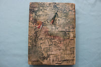 1902 THE SPECKLED TROUT HARDCOVER BOOK BY LOUIS RHEAD - KD 9696