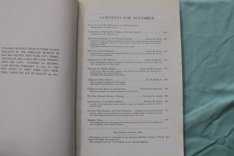 1917 NOVEMBER THE AMERICAN MUSEUM JOURNAL - PENGUINS - SOFTCOVER BOOK - K 3270