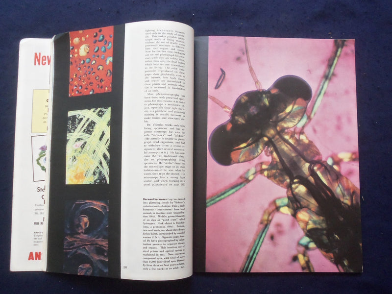 1953 JULY PHOTOGRAPHY MAGAZINE - PHILIPE HALSMAN - ABC'S OF COLOR - SP 4781J