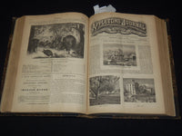 1871 JAN-JUNE APPLETON'S JOURNAL BOUND VOLUME NO. 5 - ILLUSTRATIONS - KD 7462E