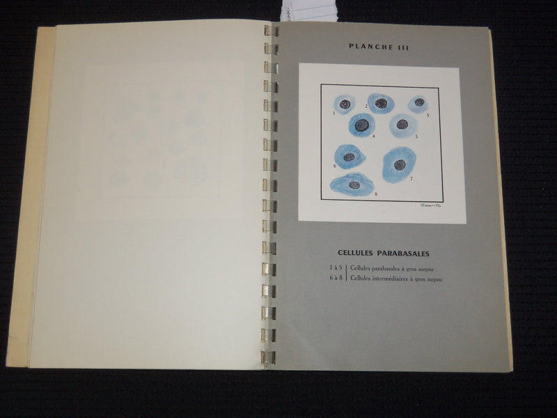 1953 TECHNIQUE DES FROTTIS VAGINAUX BOOK BY ISAAC ET WURCH - FRENCH - J 9566