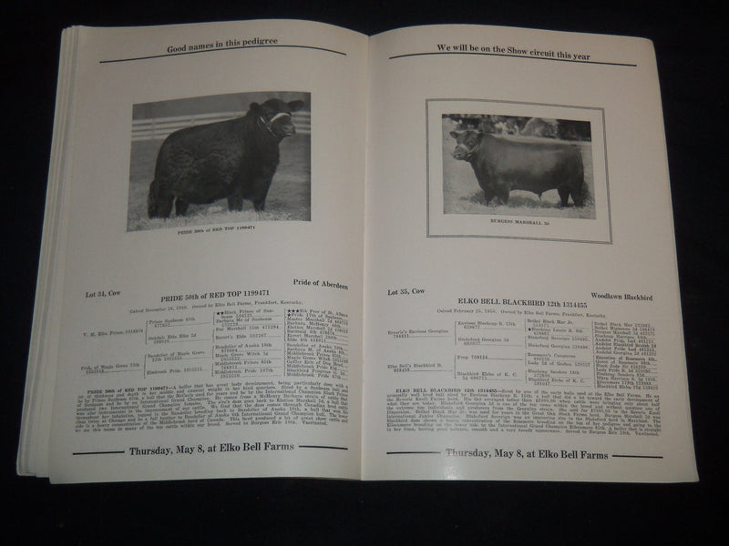 1952 ELKO BELL FARM PRODUCTION ABERDEEN-ANGUS BREEDERS' CATTLE CATALOG - J 9217