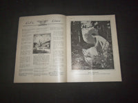 1921 AUGUST 11 LIFE MAGAZINE - THE DAY AFTER THE CIRCUS - L 772A