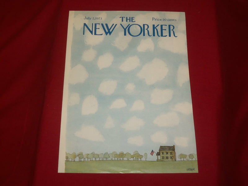 1973 JULY 2 NEW YORKER MAGAZINE FRONT COVER ONLY - GREAT ART FOR FRAMING