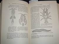 1926 THE NATURE OF THE WORLD AND OF MAN - UNIVERSITY OF CHICAGO - KD 5980D
