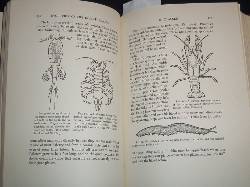 1926 THE NATURE OF THE WORLD AND OF MAN - UNIVERSITY OF CHICAGO - KD 5980D