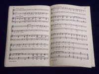 1926 SAILOR MAIDS A MUSICAL COMEDY BY CHARLES ROSS CHANEY - SOFTCOVER - SP 2529