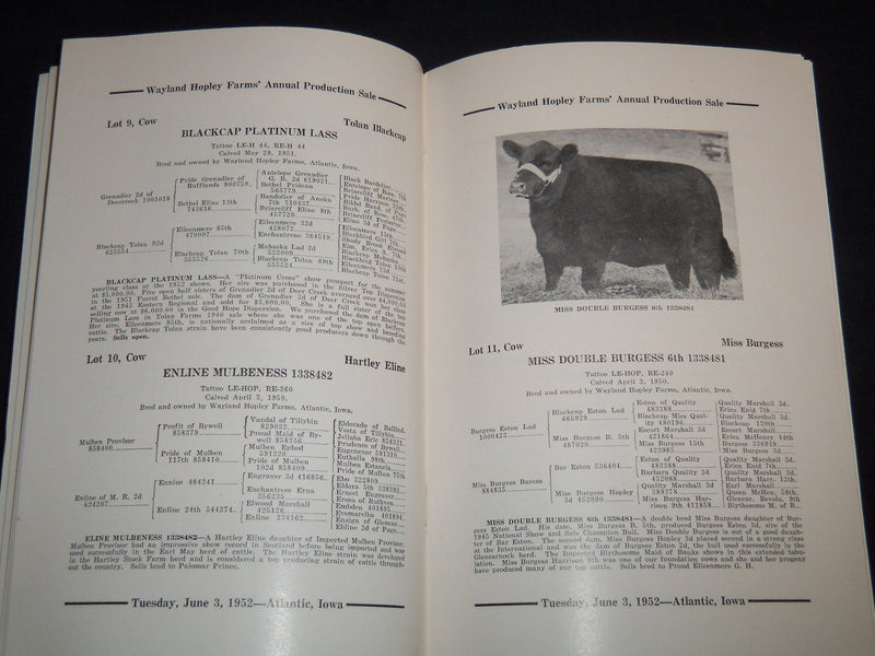 1952 WAYLAND HOPLEY FARMS ANNUAL PRODUCTION SALE CATALOG -ATLANTIC IOWA - J 9090