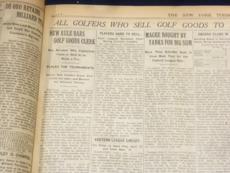 1916 JANUARY 15 NEW YORK TIMES - VAN PAPEN PAID HORN, THE DYNAMITER - NT 9060
