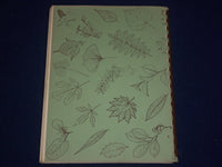 1961 TREES SHRUBS & VINES BOOK BY ARTHUR T. VIERTEL - ILLUSTRATIONS - KD 2501
