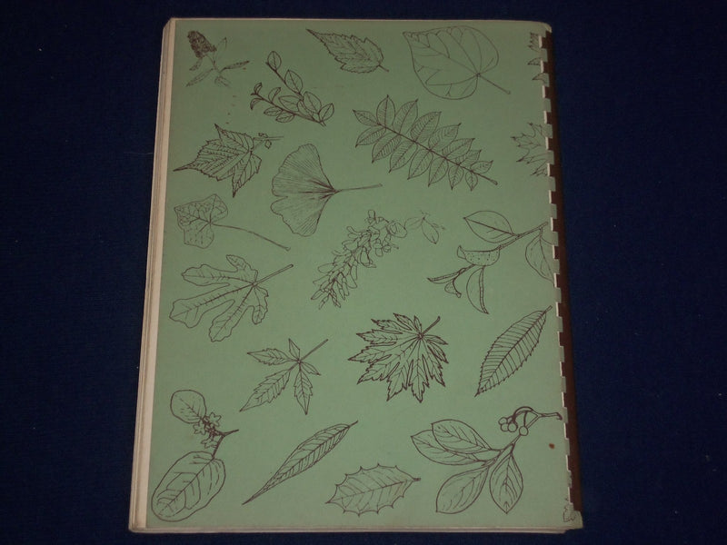 1961 TREES SHRUBS & VINES BOOK BY ARTHUR T. VIERTEL - ILLUSTRATIONS - KD 2501