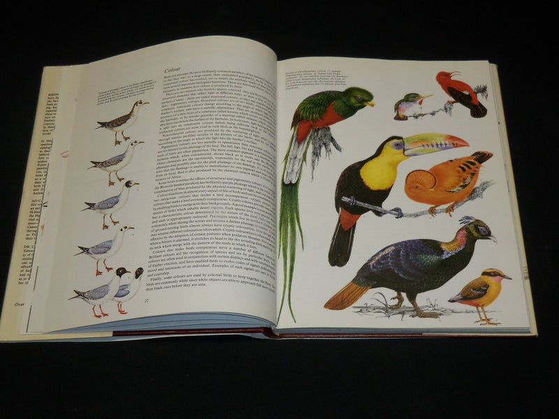 1976 BIRDS THEIR LIFE WAYS THEIR WORLD HARDCOVER BOOK BY DR. PERRINS - I 1898