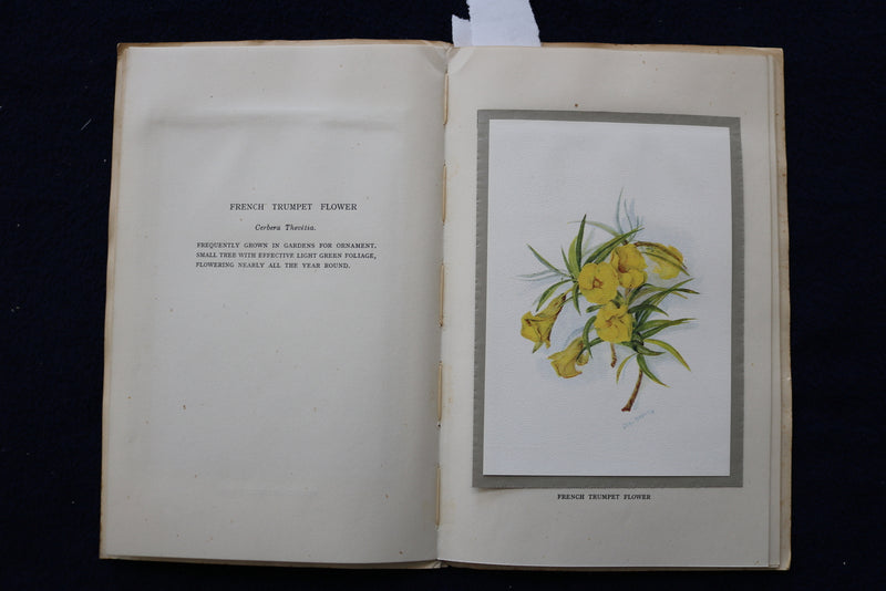 1930'S FLOWERS OF BERMUDA SOFTCOVER BOOK BY MAY MIDDLETON - K 1450