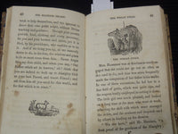 1847 LITTLE ANN OR EVERY-DAY LESSONS ON INTERESTING SUBJECTS BOOK - K 2196