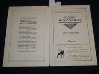 1996 AUGUST 3 VICTORY WAYZGOOSE 10TH ANNUAL SOUVENIR PROGRAM - IDAHO - J 8582