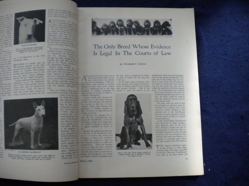 1934 MARCH 1 THE AMERICAN KENNEL GAZETTE MAGAZINE- WU FOO OF KINGSWERE- SP 3625M