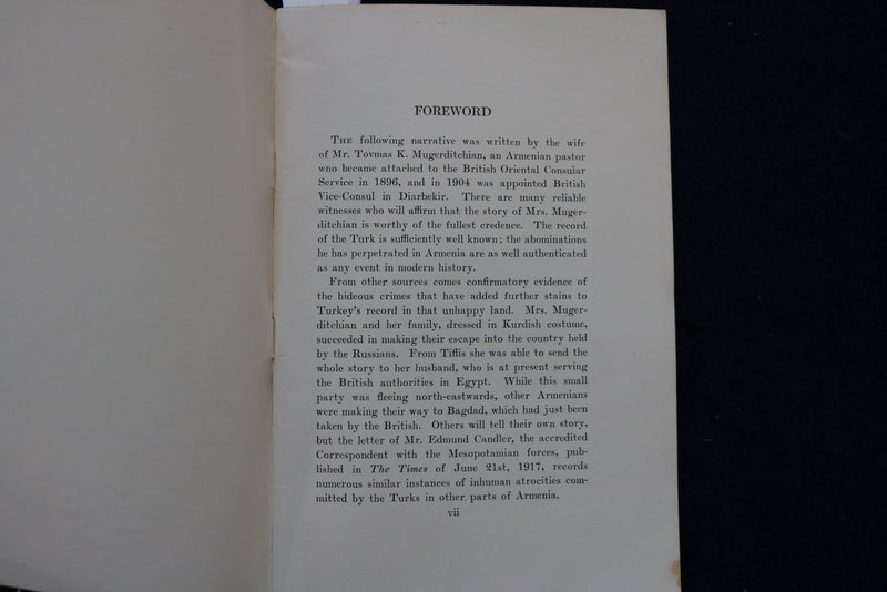 1920'S FROM TURKISH TOILS SOFTCOVER BOOK BY MRS. ESTHER MUGERDITCHIAN - K 1561
