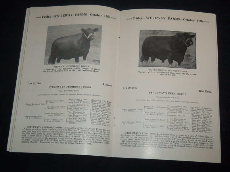 1952 STEVEWAY FARMS ABERDEEN-ANGUS BREEDERS' ANNUAL CATTLE SALE CATALOG - J 9229