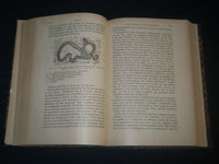 1900-1909 ANNALES D'OCULISTIQUE FRENCH VOLUMES LOT OF 19 - NICE PLATES - KD 18