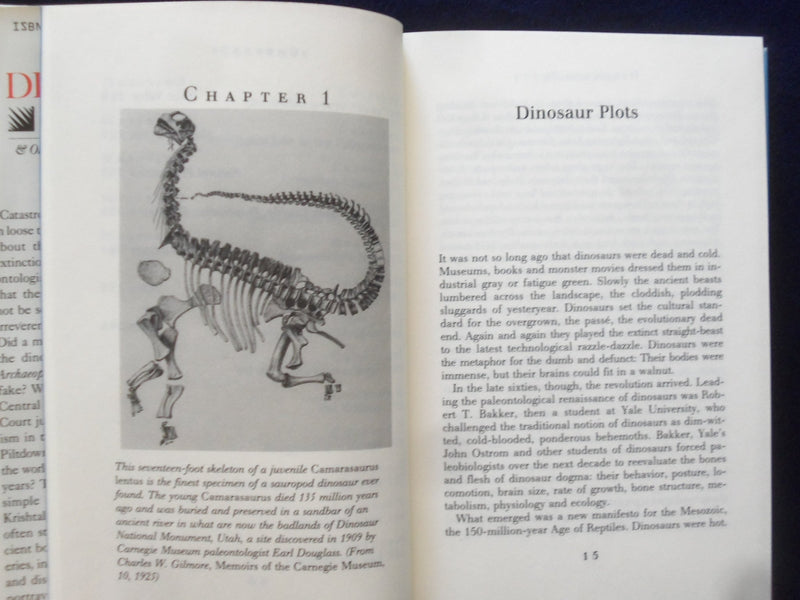 1989 DINOSAUR PLOTS HARDCOVER BOOK BY LEONARD KRISHTALKA - SIGNED - KD 9315