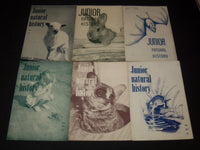1953-1956 JUNIOR NATURAL HISTORY MAGAZINE LOT OF 35 ISSUES - O 1779C