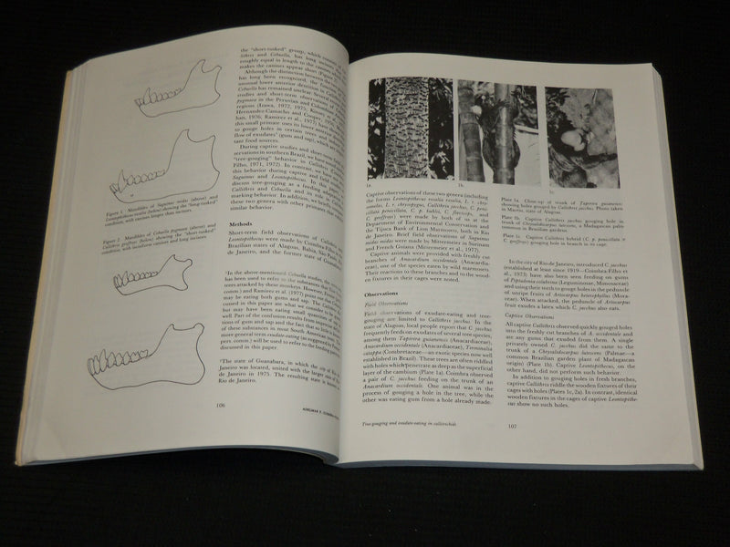 1978 THE BIOLOGY & CONSERVATION OF THE CALLITRICHIDAE SOFTCOVER BOOK - R 722L