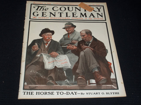 1919 DECEMBER 13 THE COUNTRY GENTLEMAN MAGAZINE ILLUSTRATED COVER ART - E 2911