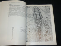 1969 MAMMALIAN FERTILIZATION BOOK BY ROBERT HADEK - KD 2763D