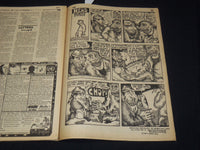 1970 JANUARY 26-FEBRUARY 9 RAT SUBTERRANEAN NEWS- JERRY RUBIN - JOPLIN - NP 8933