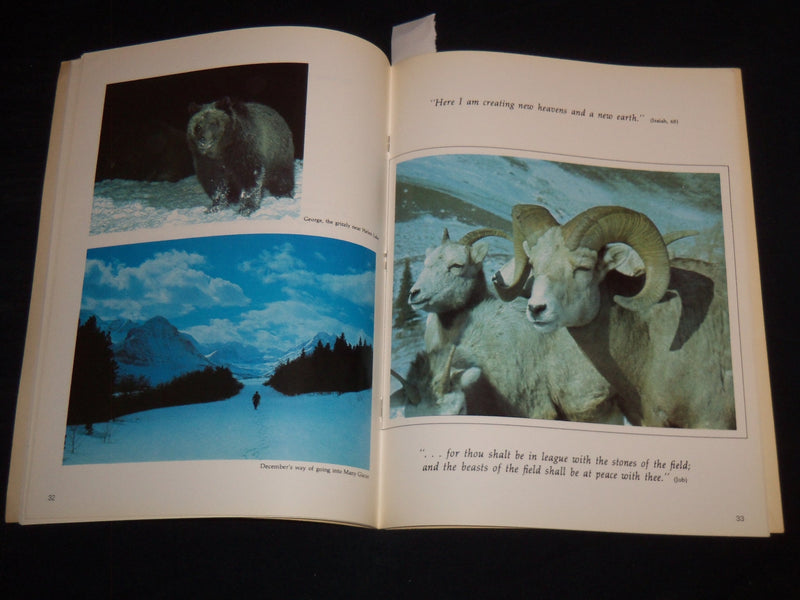 1972 GLACIER NATIONAL PARK TOUR BOOK - WINTER OF THE SLEEPING GIANTS - J 8890