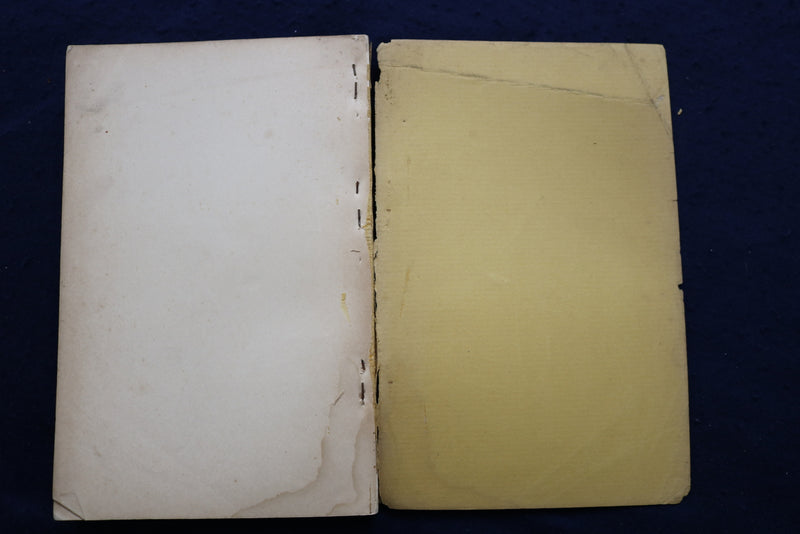 1888 WELLESLEY TOWN OFFICERS ANNUAL REPORT SOFTCOVER BOOK - K 906