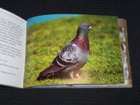 1985-1990 BIRD GUIDES BOOK LOT OF 2 - NORTH AMERICAN BIRDS - J 6891