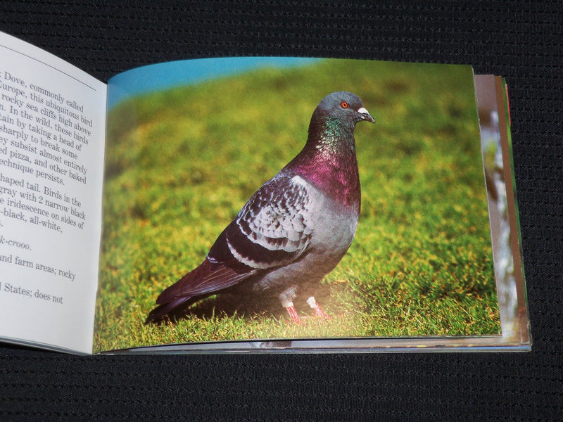 1985-1990 BIRD GUIDES BOOK LOT OF 2 - NORTH AMERICAN BIRDS - J 6891