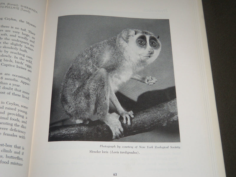 1954 THE MONKEY BOOK BY ERNEST R. WALKER - FIRST PRINTING - KD 4149
