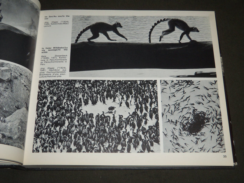 1974 PHOTOGRAPHIE IN SWITZERLAND 1840 TO TODAY BOOK - FRENCH & GERMAN - KD 3772