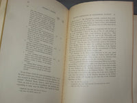 1907 SECTION OF THE MANLIUS LIMESTONE AT NORTHERN END HELDERBERG PLATEAU- J 4852