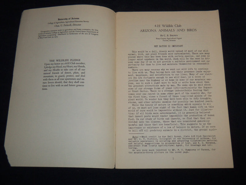 1941 JANUARY ARIZONA ANIMALS AND BIRDS BY C. B. BROWN - WILDLIFE CLUB - J 8591