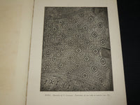 1915 VOLTE E SOFFITTI ITALIANI BOOK BY ARDUINO COLASANTI - NICE PRINTS - R 710D
