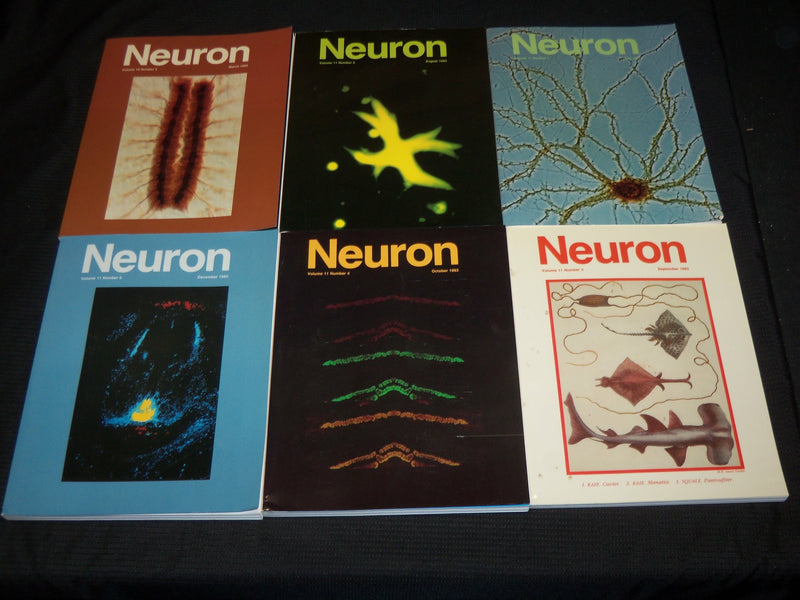 1993 NEURON MAGAZINE LOT OF 12 ISSUES - NICE COVERS & PHOTOS - O 2561G