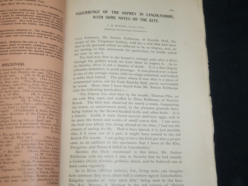 1901 THE NATURALIST MAGAZINE HISTORY FOR NORTH OF ENGLAND LOT OF 12 - WR 106K