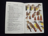 1973 MEXICAN BIRDS SOFTCOVER BOOK - PETERSON FIELD GUIDE - BY PETERSON - J 9364