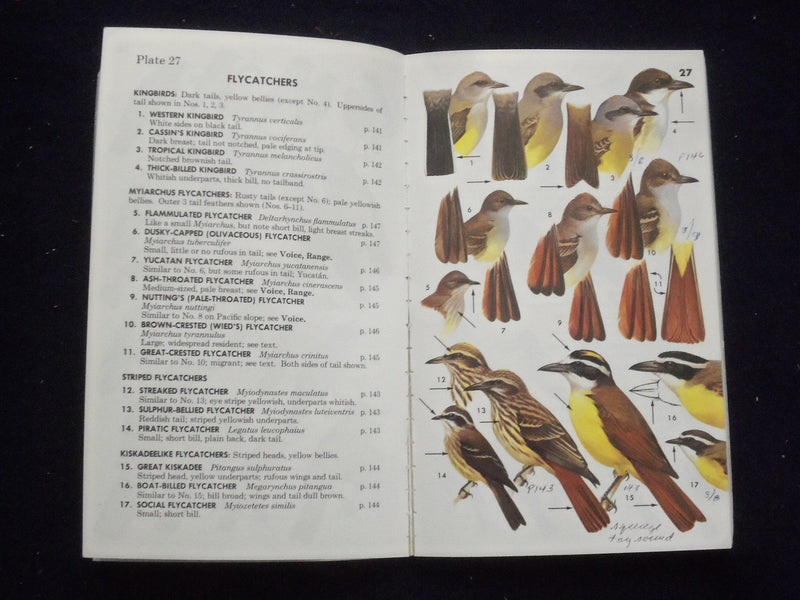 1973 MEXICAN BIRDS SOFTCOVER BOOK - PETERSON FIELD GUIDE - BY PETERSON - J 9364