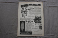 1946 JAN 1 HORTICULTURE ILLUSTRATED MAGAZINE - NICE SCENERY COVER - ST 1013P